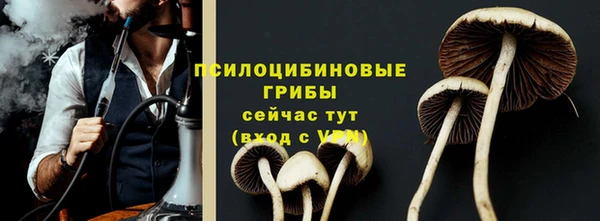 мдпв Кулебаки