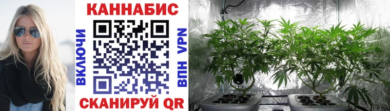 Купить  Котельнич  Бошки Шишки Amnesia 